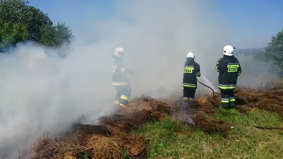 Z życia jednostki — 1 sierpnia 2017 — zdjęcie 19