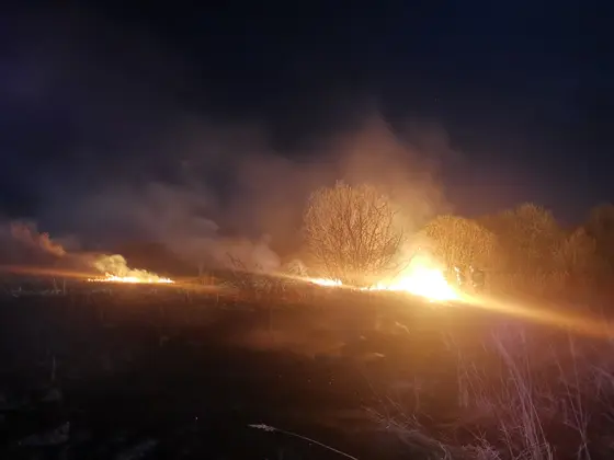 Kronika jednostki 2022 — cały rok — zdjęcie 876
