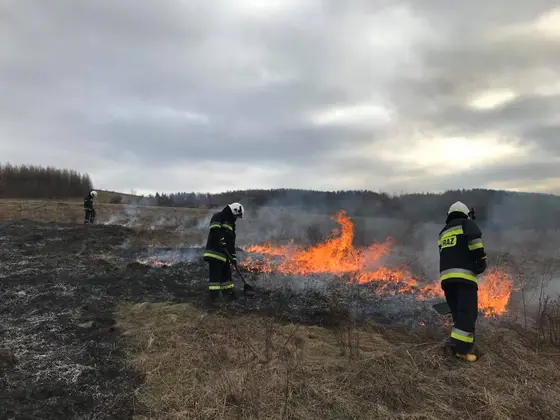 Kronika jednostki 2018 — cały rok — zdjęcie 537