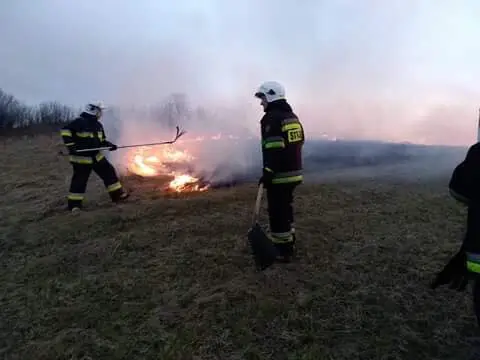 Kronika jednostki 2018 — cały rok — zdjęcie 506