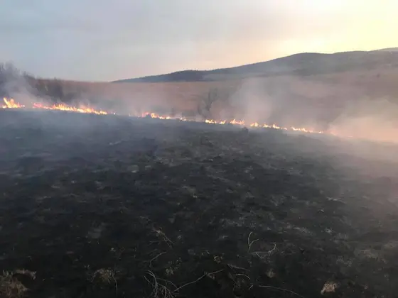 Kronika jednostki 2018 — cały rok — zdjęcie 509