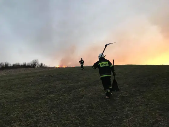 Kronika jednostki 2018 — cały rok — zdjęcie 511