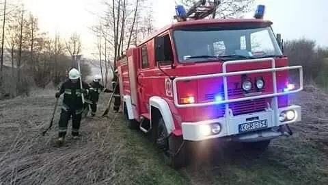 Kronika jednostki 2018 — cały rok — zdjęcie 512