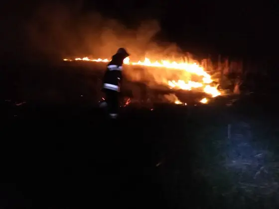 Działania gaśnicze — 14 kwietnia 2018 — zdjęcie 3