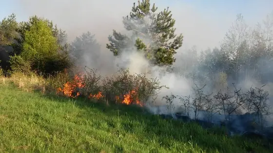 Kronika jednostki 2018 — cały rok — zdjęcie 453