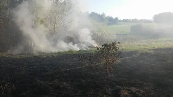 Kronika jednostki 2018 — cały rok — zdjęcie 456