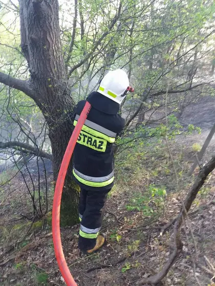 Kronika jednostki 2018 — cały rok — zdjęcie 458