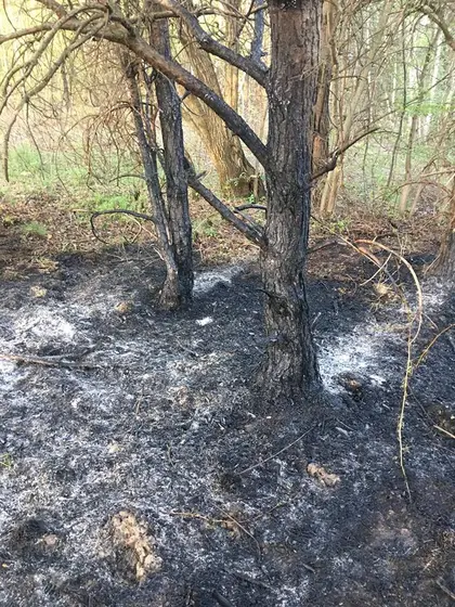 Kronika jednostki 2018 — cały rok — zdjęcie 460