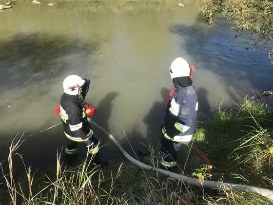 Zawody i turnieje — 29 września 2018 — zdjęcie 5