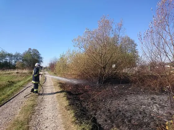 Kronika jednostki 2018 — cały rok — zdjęcie 189