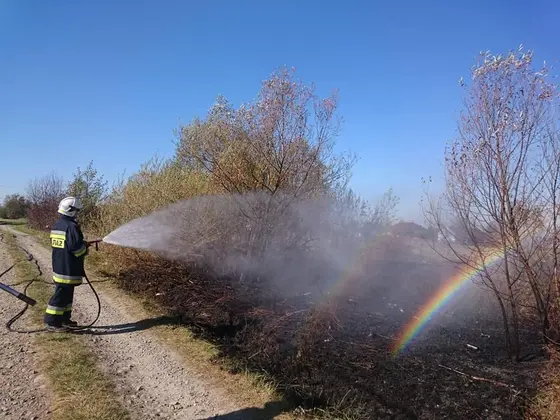 Kronika jednostki 2018 — cały rok — zdjęcie 194