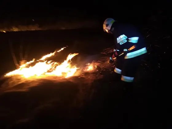 Działania gaśnicze — 28 lutego 2019 — zdjęcie 5