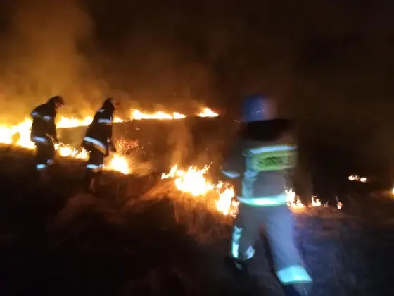 Kronika jednostki 2019 — cały rok — zdjęcie 730