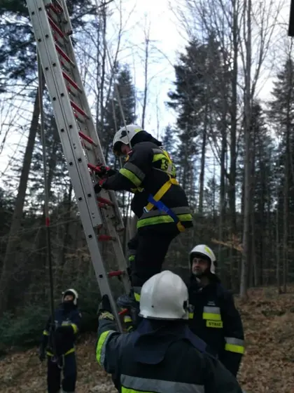 Ćwiczenia i szkolenie — 20 marca 2019 — zdjęcie 6