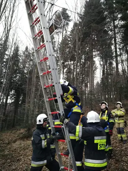 Ćwiczenia i szkolenie — 20 marca 2019 — zdjęcie 25