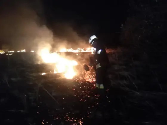 Działania gaśnicze — 22 marca 2019 — zdjęcie 2