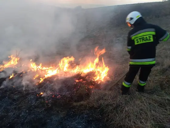 Działania gaśnicze — 30 marca 2019 — zdjęcie 2