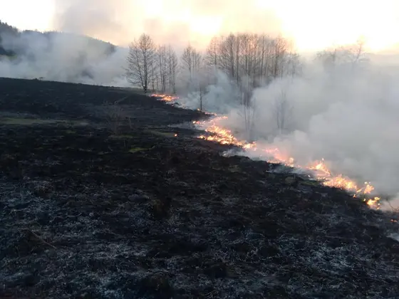 Działania gaśnicze — 30 marca 2019 — zdjęcie 3