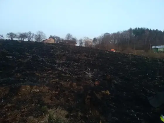 Działania gaśnicze — 30 marca 2019 — zdjęcie 5