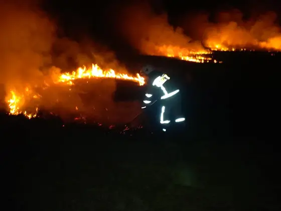 Działania gaśnicze — 31 marca 2019