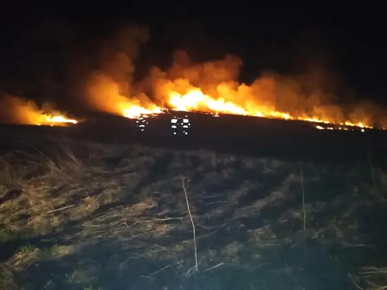 Działania gaśnicze — 31 marca 2019 — zdjęcie 2