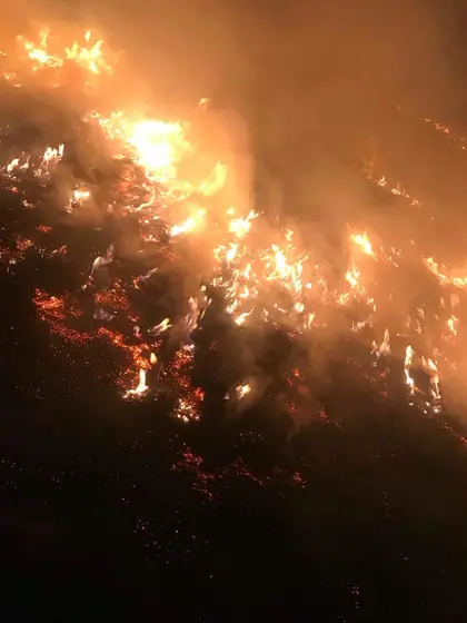 Działania gaśnicze — 31 marca 2019 — zdjęcie 4