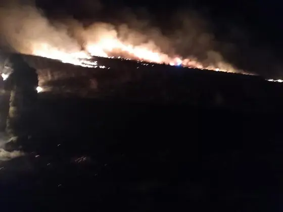 Działania gaśnicze — 31 marca 2019 — zdjęcie 7