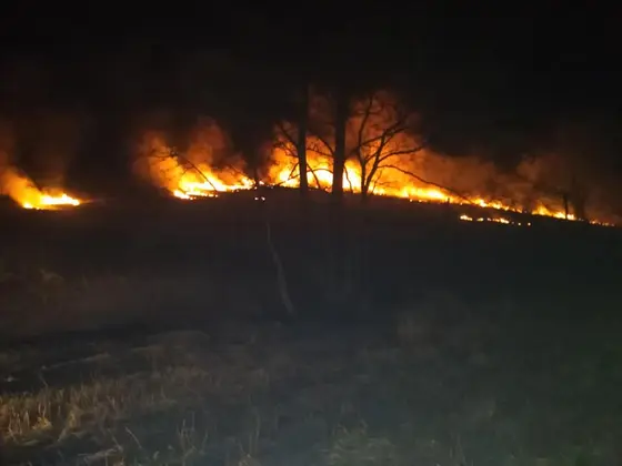 Działania gaśnicze — 31 marca 2019 — zdjęcie 8