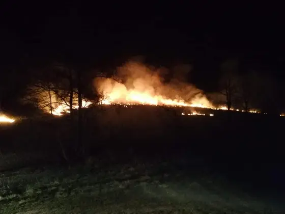 Działania gaśnicze — 31 marca 2019 — zdjęcie 10