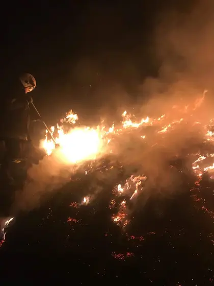 Działania gaśnicze — 31 marca 2019 — zdjęcie 11