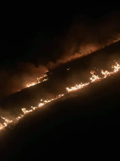 Działania gaśnicze — 31 marca 2019 — zdjęcie 13