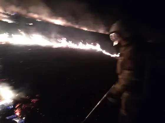 Działania gaśnicze — 31 marca 2019 — zdjęcie 15