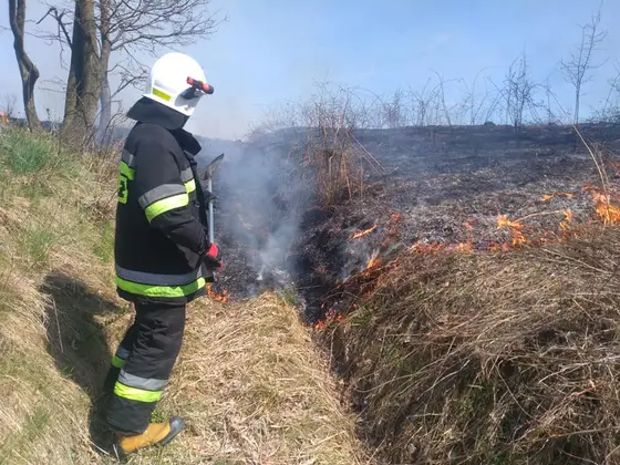 Uroczystość — 20 kwietnia 2019 — zdjęcie 10