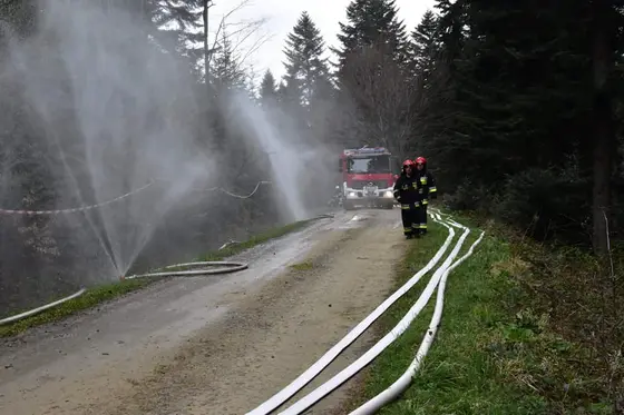Zawody i turnieje — 25 kwietnia 2019 — zdjęcie 8
