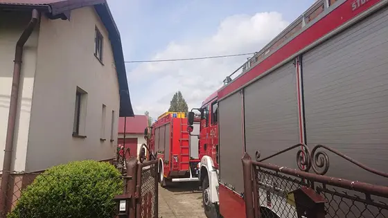 Uroczystość — 11 maja 2019 — zdjęcie 4