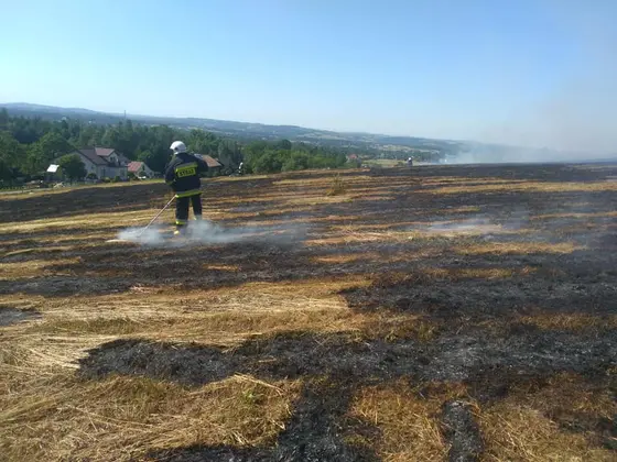 Kronika jednostki 2019 — cały rok — zdjęcie 356