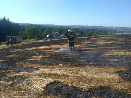 Kronika jednostki 2019 — cały rok — zdjęcie 358