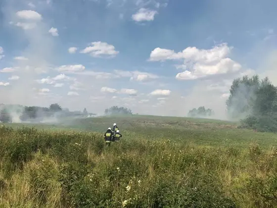 Działania gaśnicze — 18 lipca 2019 — zdjęcie 3