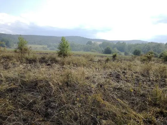 Działania gaśnicze — 18 lipca 2019 — zdjęcie 7