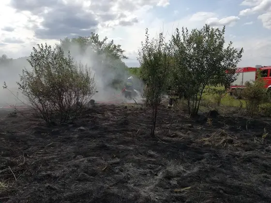 Działania gaśnicze — 18 lipca 2019 — zdjęcie 12