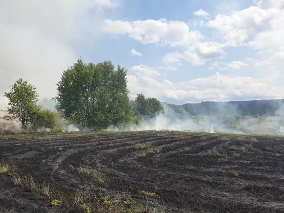 Działania gaśnicze — 18 lipca 2019 — zdjęcie 17