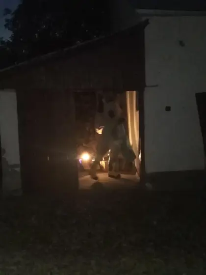 Działania gaśnicze — 4 września 2019 — zdjęcie 3