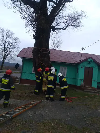Kronika jednostki 2019 — cały rok — zdjęcie 105