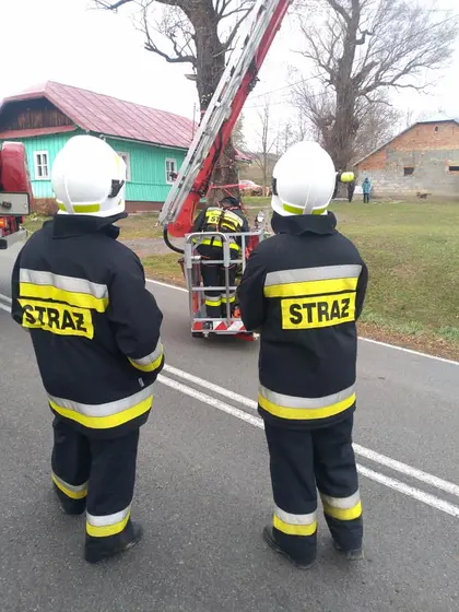 Kronika jednostki 2019 — cały rok — zdjęcie 107