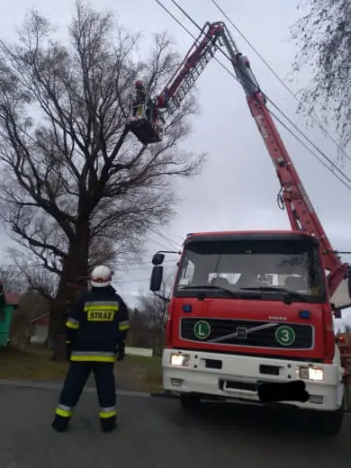 Kronika jednostki 2019 — cały rok — zdjęcie 109