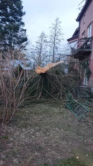 Kronika jednostki 2020 — cały rok — zdjęcie 574