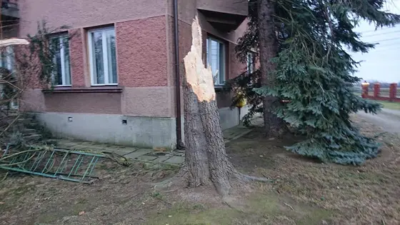 Kronika jednostki 2020 — cały rok — zdjęcie 575