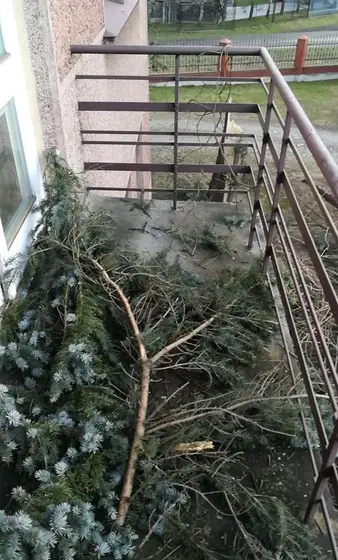 Kronika jednostki 2020 — cały rok — zdjęcie 580