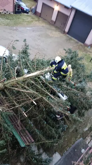 Kronika jednostki 2020 — cały rok — zdjęcie 582