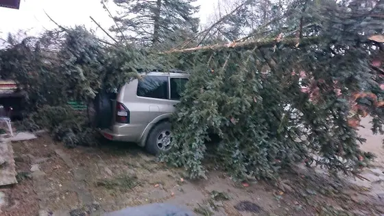 Kronika jednostki 2020 — cały rok — zdjęcie 587